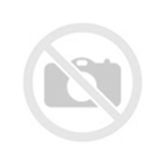 image_min-4.gif Siemens ALT-SS150